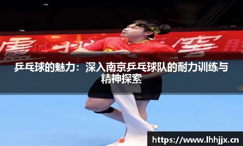 乒乓球的魅力：深入南京乒乓球队的耐力训练与精神探索